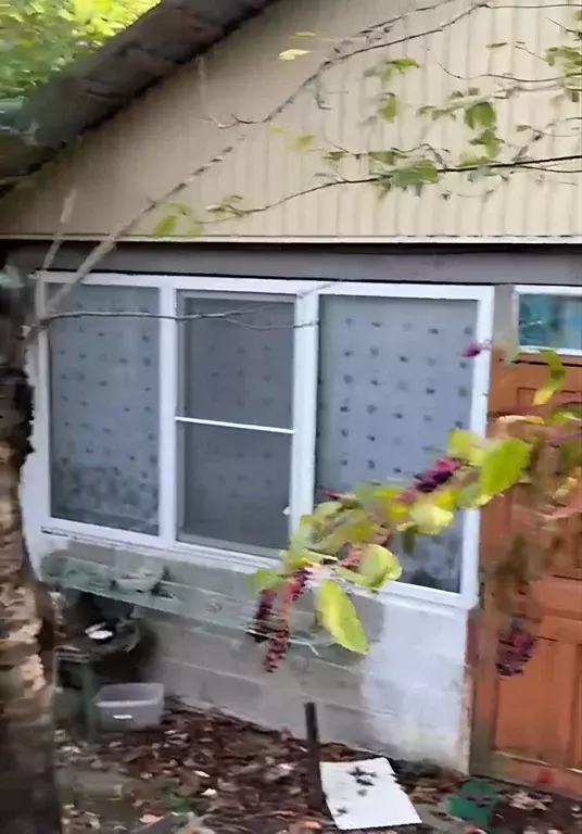 1-к кв. Краснодарский край, Сочи городской округ, с. Орел-Изумруд ул. ... - Фото 1