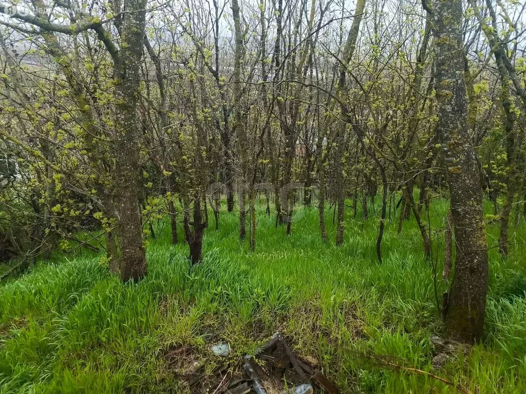 Участок в посёлок Иноземцево, микрорайон Бештау, Ленинградская улица ... - Фото 2