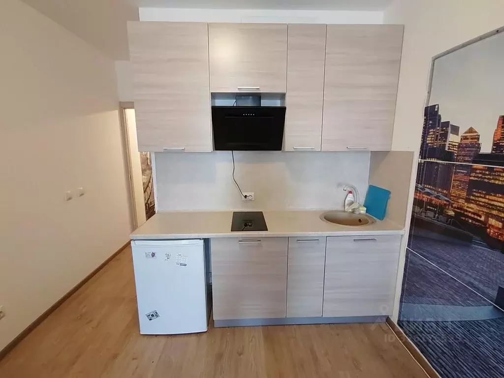 Студия Санкт-Петербург просп. Ветеранов, 175к4 (25.0 м) - Фото 1