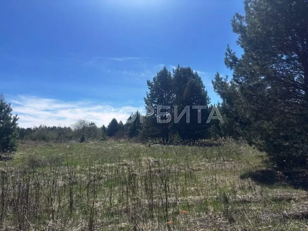 Участок в Тюменская область, Нижнетавдинский муниципальный округ, ... - Фото 2