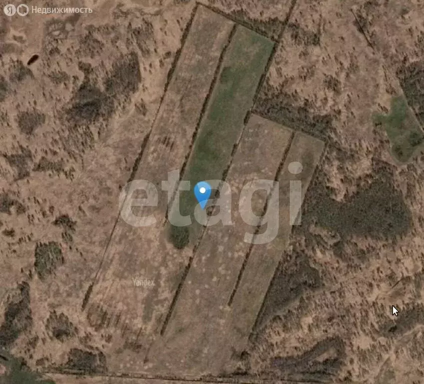 Участок в Тюменская область, Ялуторовский муниципальный округ, деревня ... - Фото 2