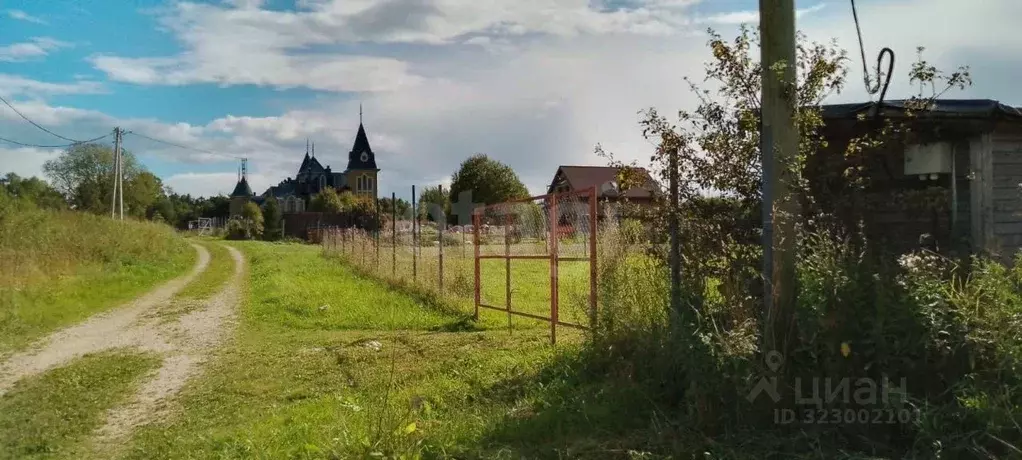 Участок в Ленинградская область, Волосовский район, Клопицкое с/пос, ... - Фото 1