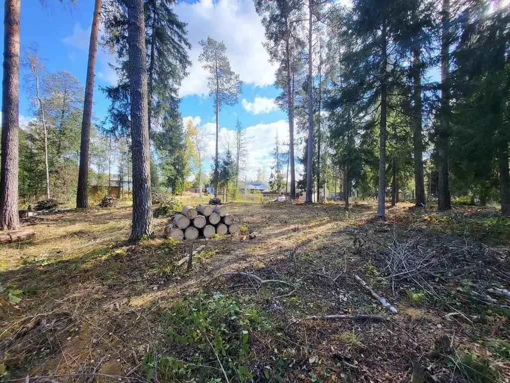 Участок в Московская область, Щелково городской округ, пос. Литвиново  ... - Фото 2