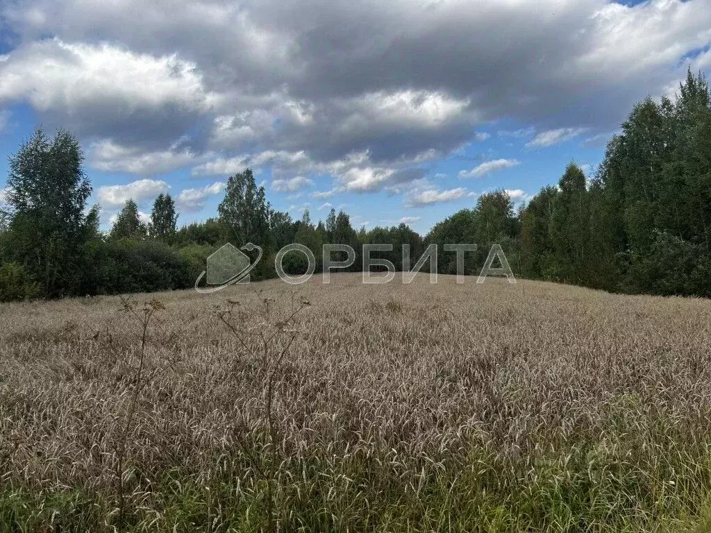 Участок в Тюменская область, Тюмень  (73.7 сот.) - Фото 1