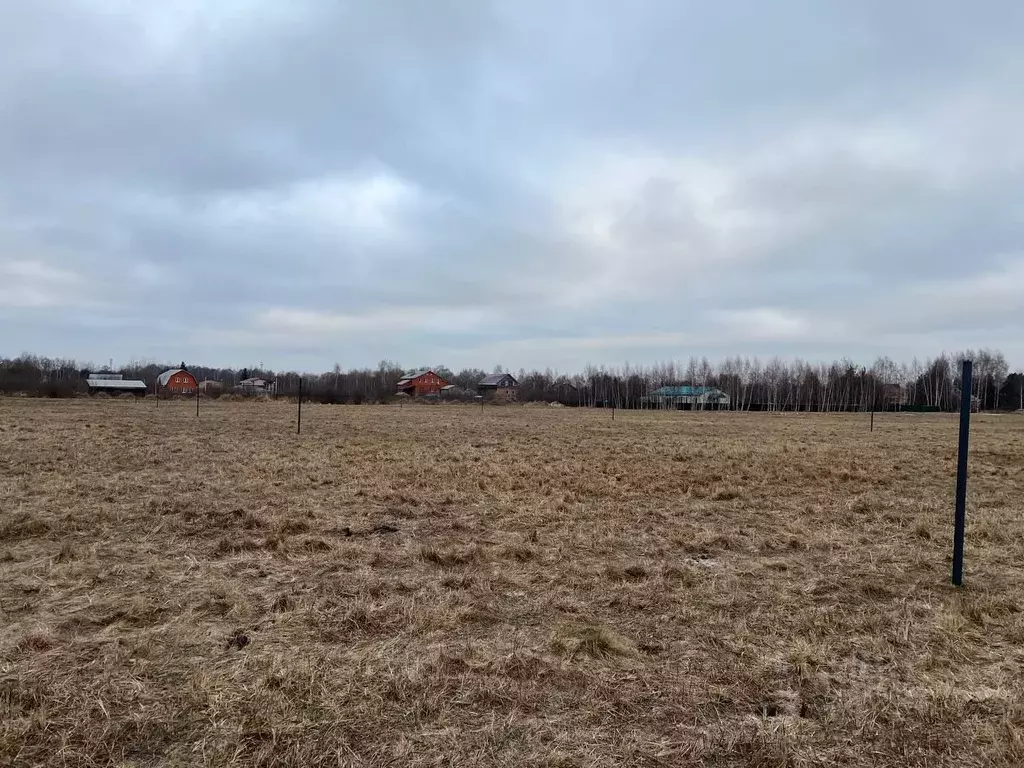 Участок в Московская область, Орехово-Зуевский городской округ, д. ... - Фото 0