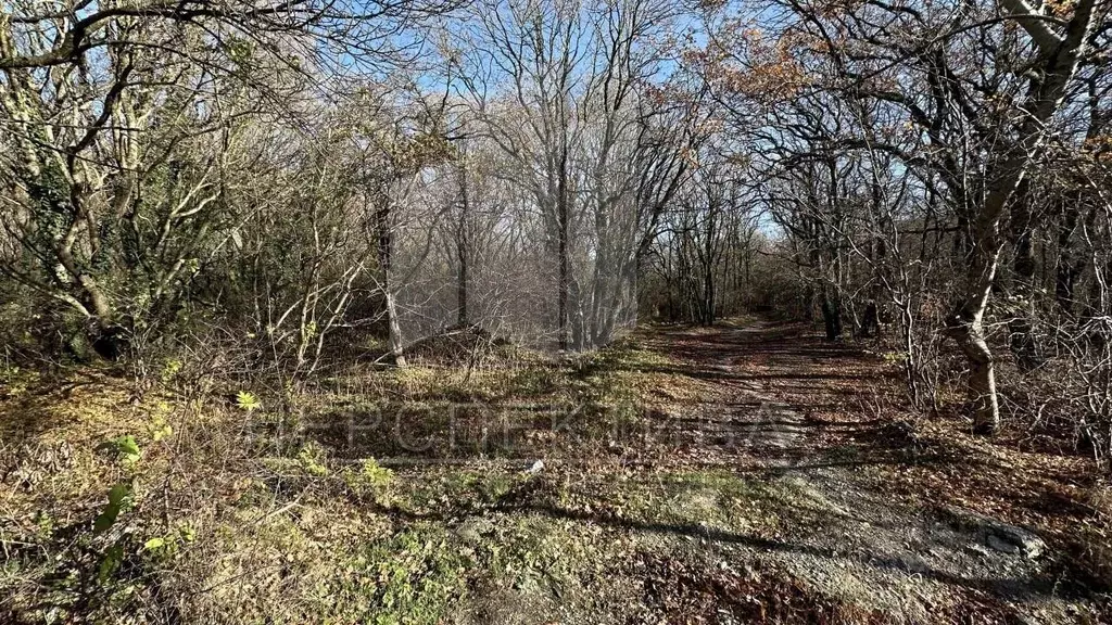 Участок в Краснодарский край, Новороссийск городской округ, ... - Фото 1
