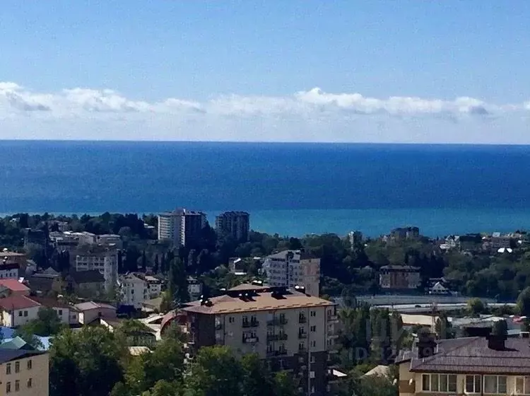 2-к кв. Краснодарский край, Сочи ул. Тимирязева, 53Г (30.0 м) - Фото 2