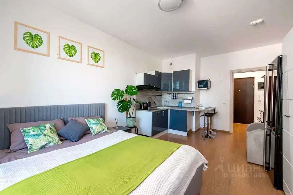 Квартира, студия, 24.5 м - Фото 0