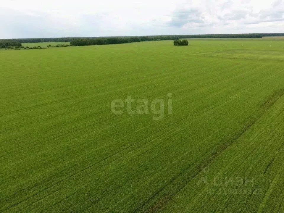 Участок в Тюменская область, Тюменский район, с. Горьковка  (6.26 ... - Фото 1