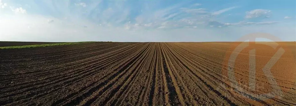 Участок в Крым, Сакский район, Молочненское с/пос, с. Абрикосовка ул. ... - Фото 2