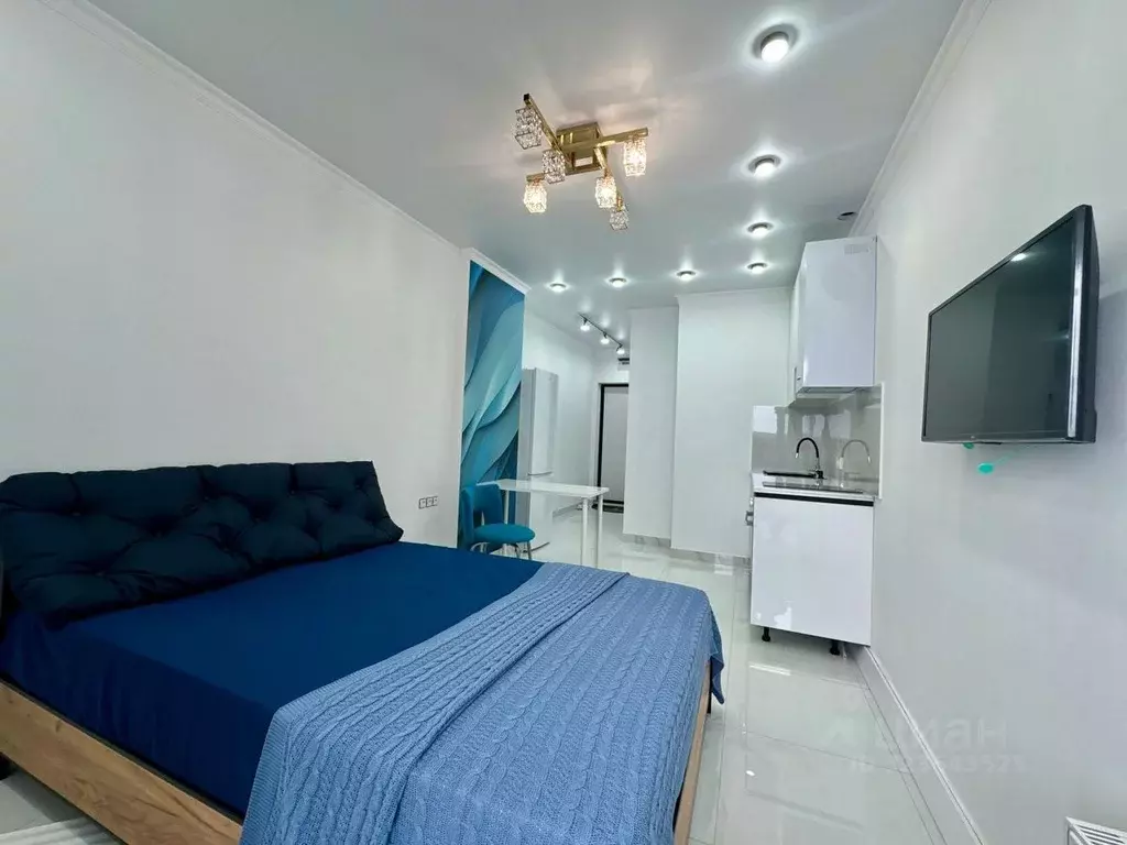 Студия Ростовская область, Ростов-на-Дону просп. Стачки, 215Б (25.0 м) - Фото 2