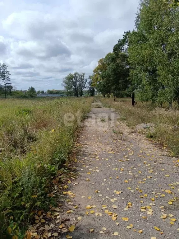 Участок в Амурская область, Белогорск ул. Радиальная (10.9 сот.) - Фото 1