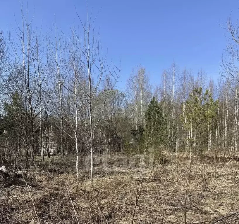 Участок в Марий Эл, Медведевский район, Сидоровское с/пос, Вираж СНТ  ... - Фото 2