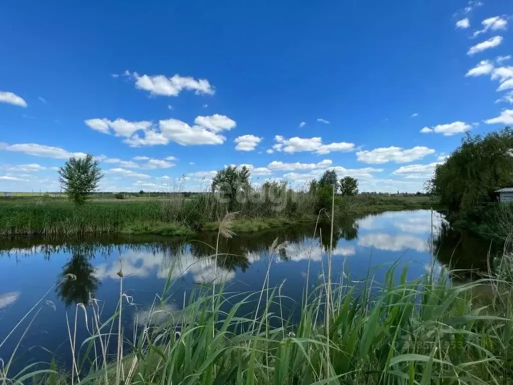 Участок в Белгородская область, Белгородский район, Беломестненское ... - Фото 0