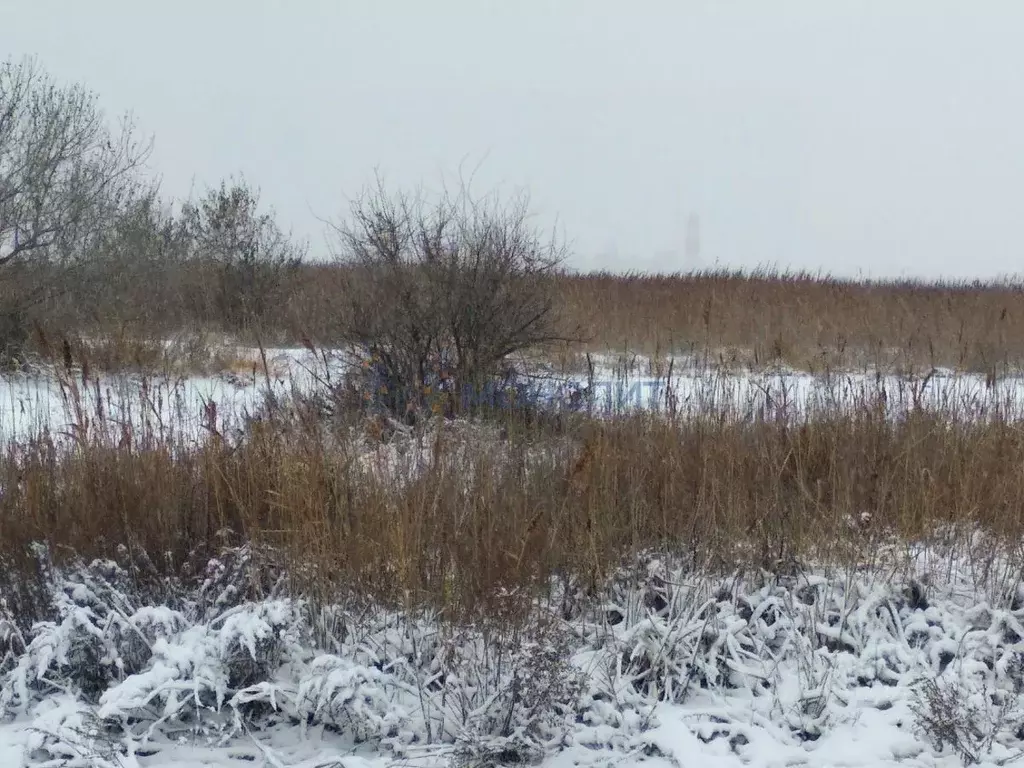 Участок в Нижегородская область, Балахнинский муниципальный округ, ... - Фото 1