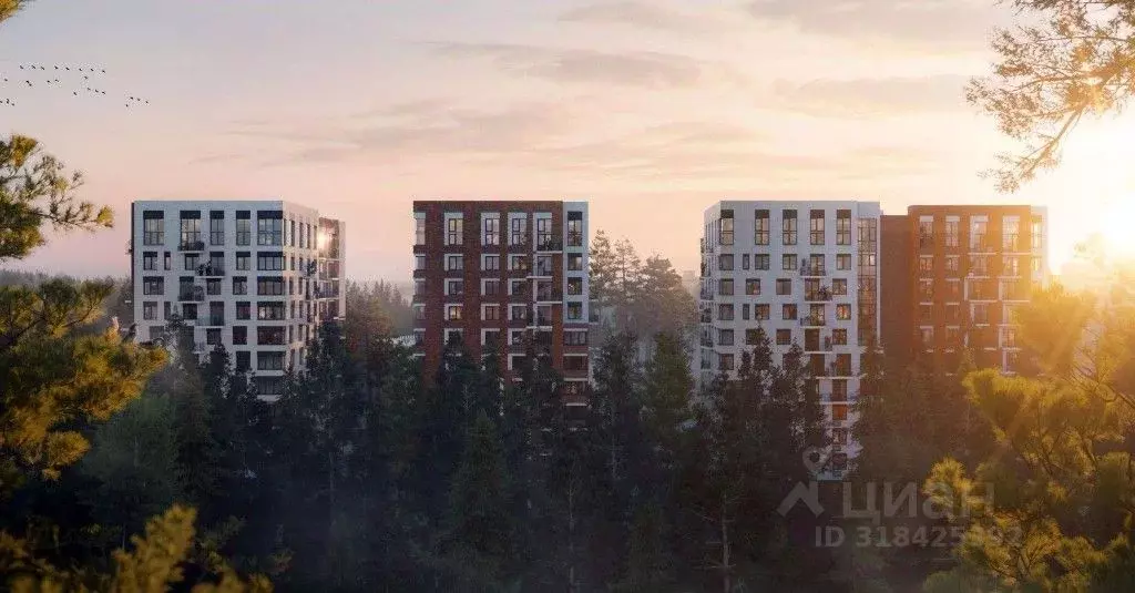 Помещение свободного назначения в Ленинградская область, Сертолово ... - Фото 1