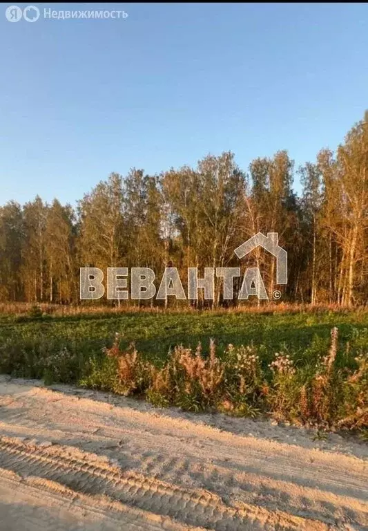 Участок в Тюменский район, деревня Елань (7 м) - Фото 1