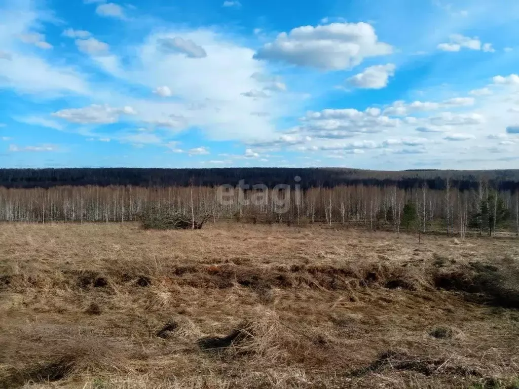 Участок в Нижегородская область, Богородский муниципальный округ, д. ... - Фото 0