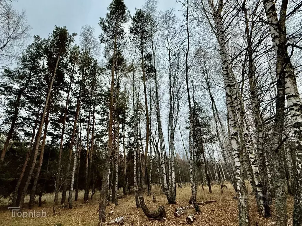 Участок в Татарстан, Лаишевский район, Орловское с/пос, д. Орел  (73.0 ... - Фото 1