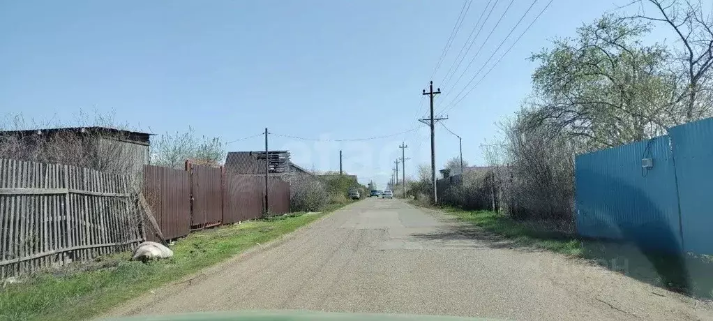 Участок в Оренбургская область, Оренбургский район, Сергиевский ... - Фото 1