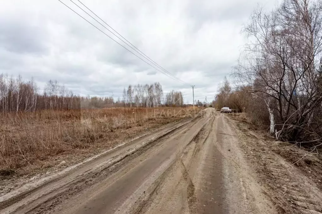 Участок в Тюменская область, Нижнетавдинский район, Моторостроитель ... - Фото 1