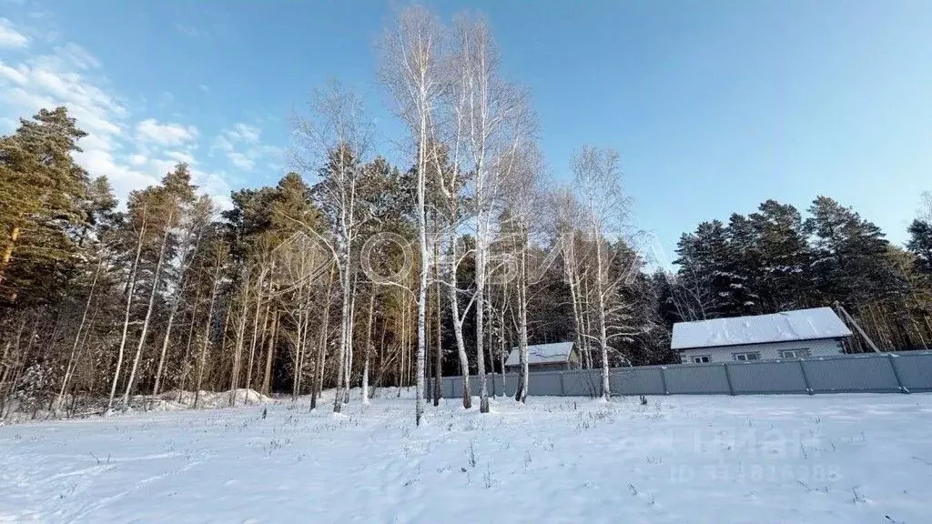 Участок в Тюменская область, Нижнетавдинский район, с. Тюнево ул. ... - Фото 0