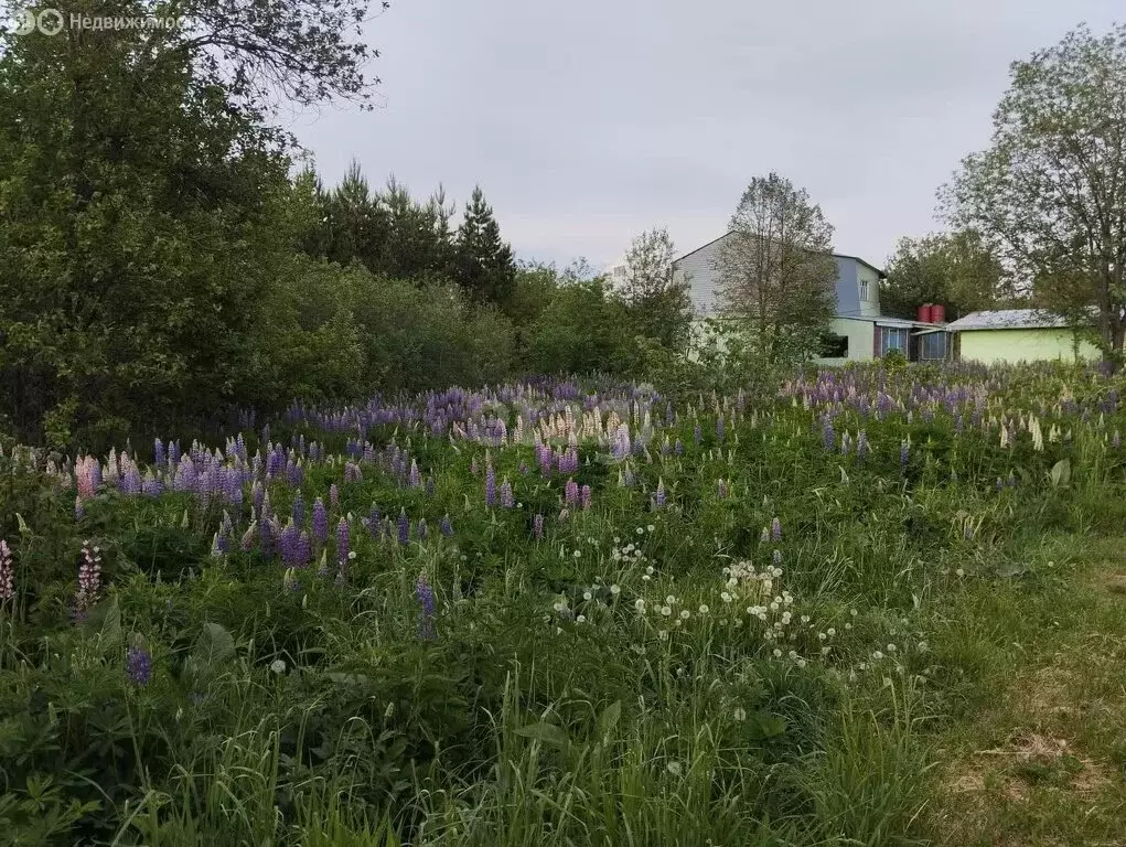 Участок в Иглинский район, Балтийский сельсовет, деревня Загорское ... - Фото 1