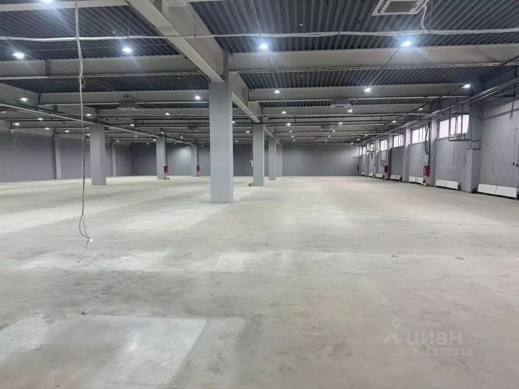 Склад в Воронежская область, Воронеж ул. Урывского, 6Б (6000 м) - Фото 2