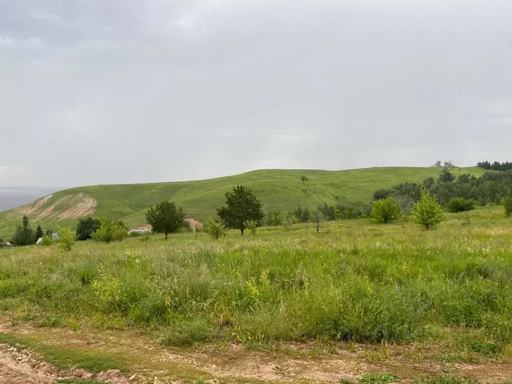 Участок в Татарстан, Иннополис Верхнеуслонский район,  (1050.0 сот.) - Фото 1