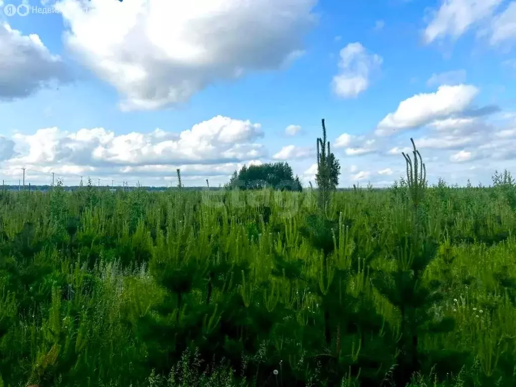 Участок в Свердловская область, посёлок городского типа Тугулым (7 м) - Фото 2