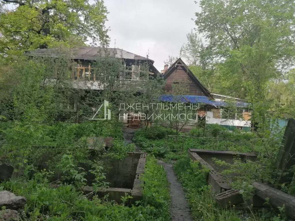 Участок, 6 сот., поселения (ижс) - Фото 1