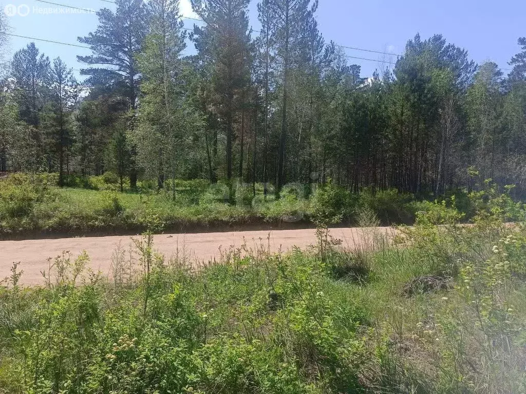 Участок в Читинский район, село Смоленка (8.6 м) - Фото 0