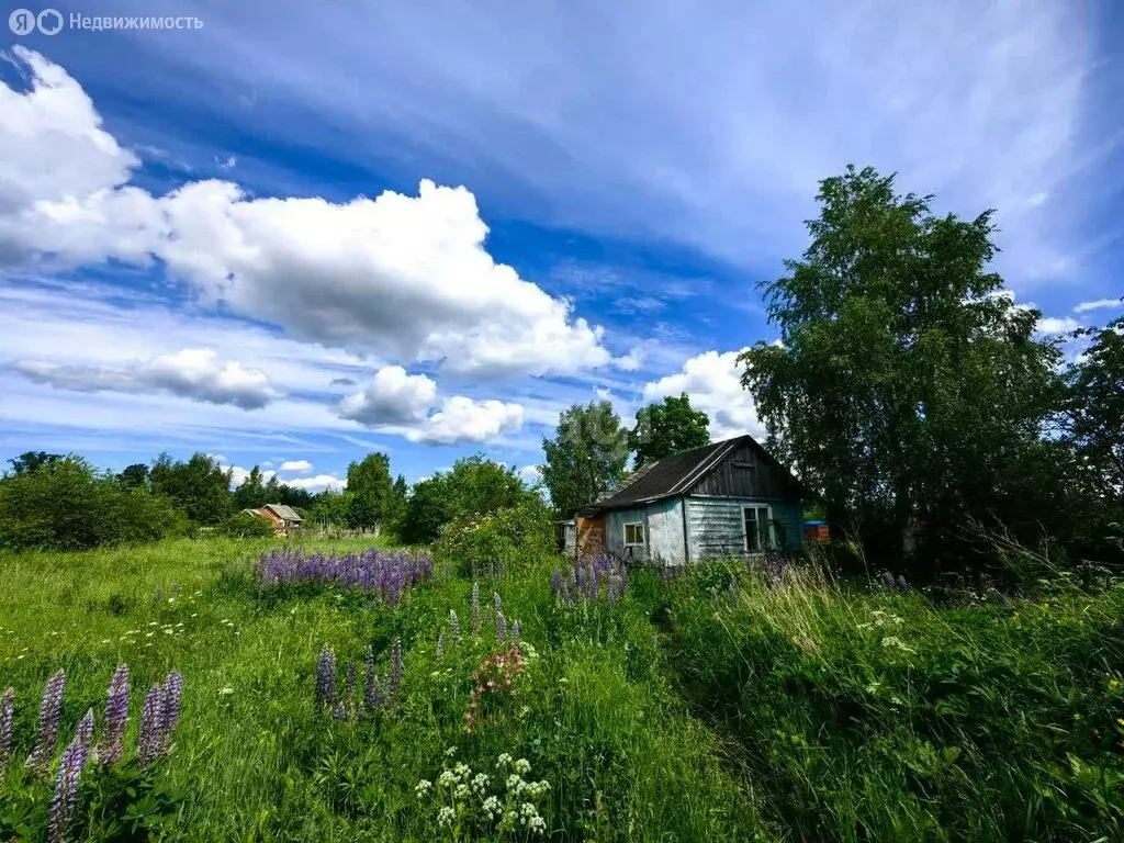 Дом в Кисельнинское сельское поселение, деревня Чаплино (34.5 м) - Фото 1