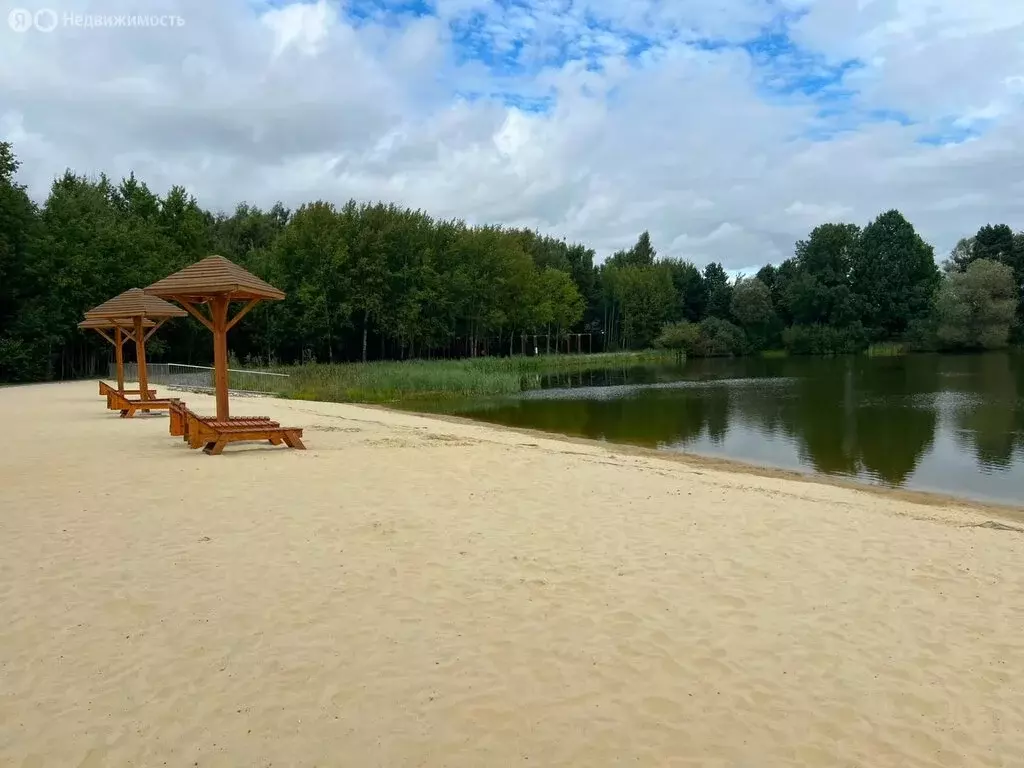 3-комнатная квартира: Домодедово, площадь Гагарина, 2/5 (52 м) - Фото 1
