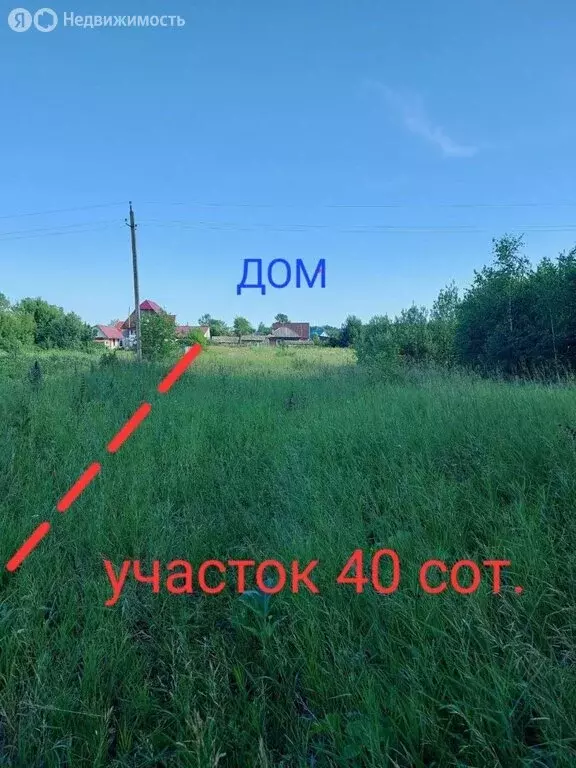 Дом в село Сростки, улица Зелёный Клин, 22 (40.6 м) - Фото 2