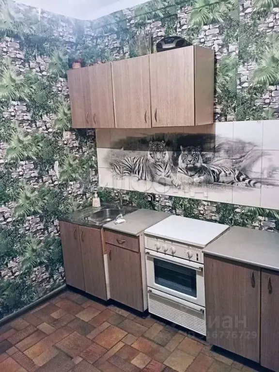 2-к кв. Новосибирская область, Новосибирск ул. Дениса Давыдова, 8А ... - Фото 0