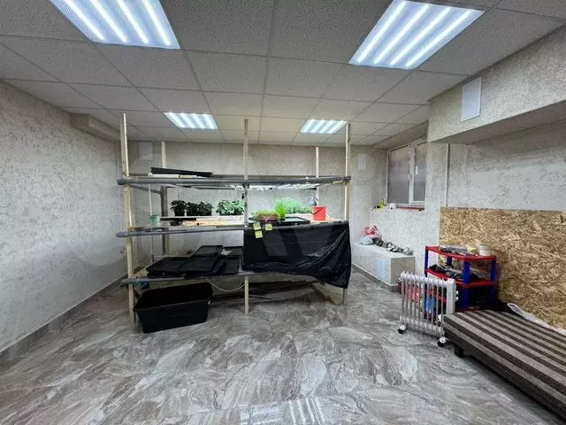 Офисы с арендаторами 81 м Доход 49тр Собственник - Фото 0