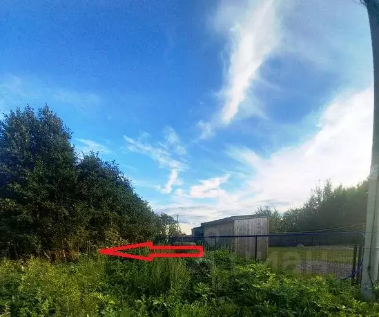 Участок в Ленинградская область, Ломоносовский район, Ропшинское ... - Фото 1