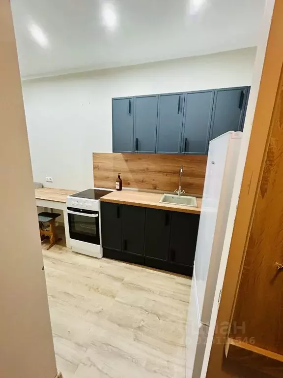 1-к кв. Московская область, Богородский городской округ, д. Новая ... - Фото 2