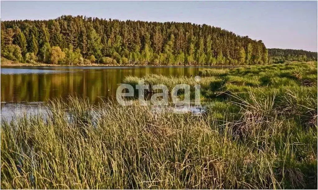 Участок в Красноярский край, Емельяновский район, с. Устюг  (15.0 ... - Фото 1