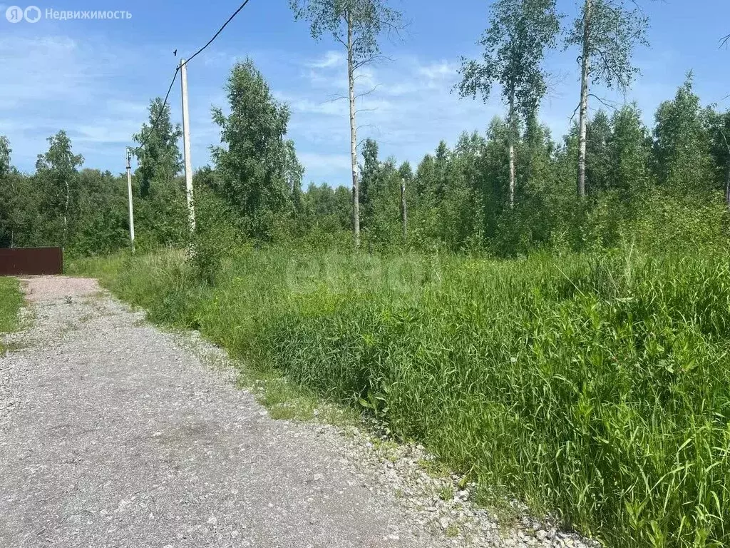Участок в Быстровский сельсовет, коттеджный посёлок Экопарк (7.93 м) - Фото 1