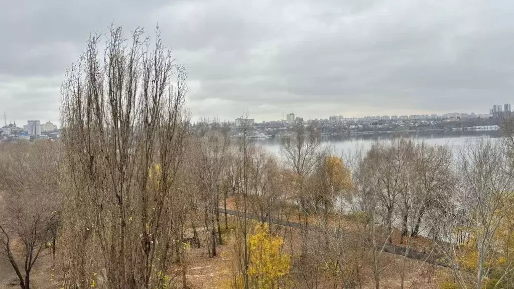 1-к кв. Воронежская область, Воронеж ул. Гаршина, 25к4 (29.7 м) - Фото 1