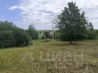 Участок в Белгородская область, Белгородский район, Дубовское с/пос, ... - Фото 1