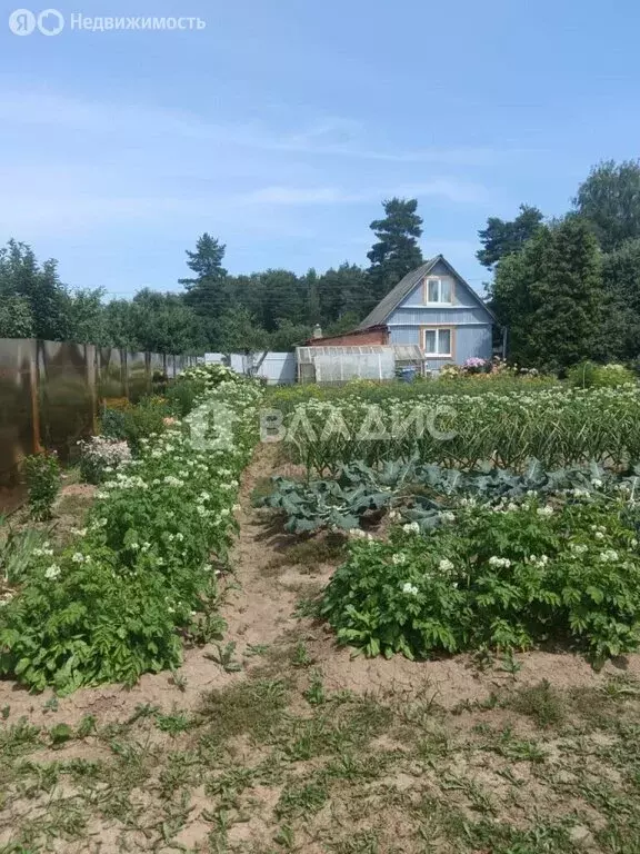 Дом в Суздальский район, муниципальное образование ... - Фото 0