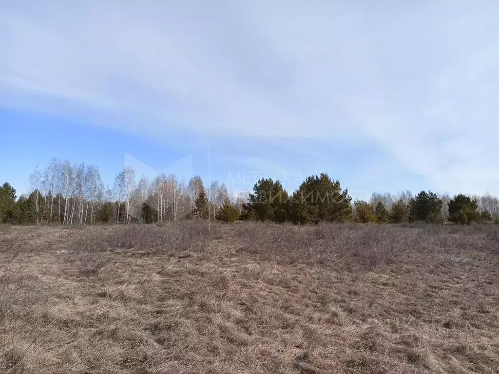 Участок в Тюменская область, Тюменский район, Архип садовое общество  ... - Фото 1