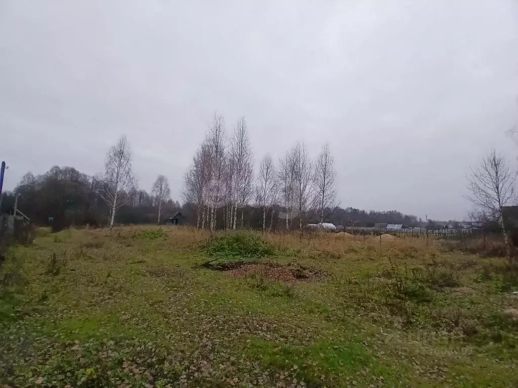 Участок в Нижегородская область, Выкса городской округ, с. Нижняя ... - Фото 2