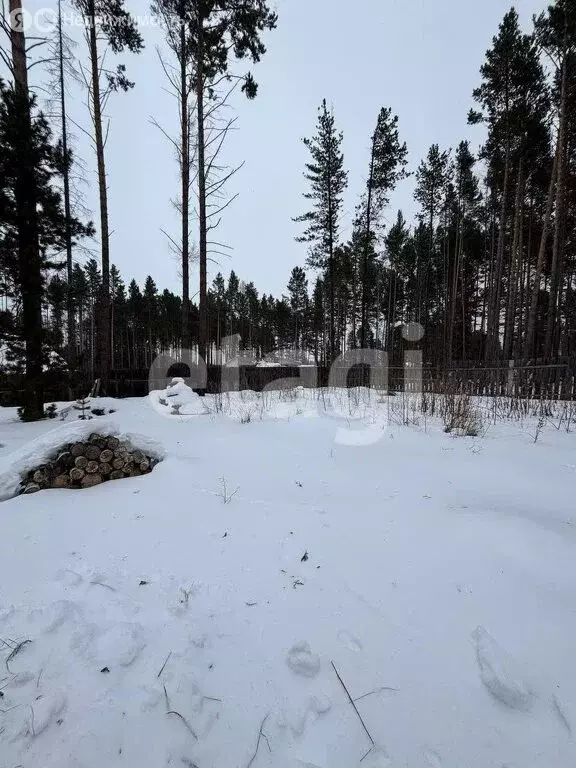 Участок в село Максимиха, территория Местность Федорово Поле (5.1 м) - Фото 0