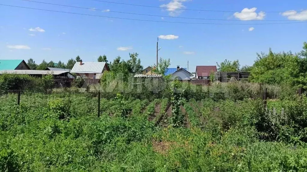 Участок в Новосибирская область, Новосибирский район, с. Боровое ул. ... - Фото 1