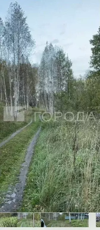 Участок 7 сот. (СНТ, ДНП) - Фото 1