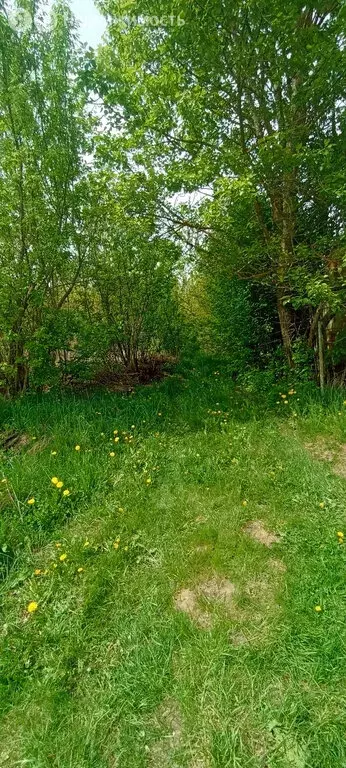 Участок в Орловский муниципальный округ, СНТ Оазис (6.6 м) - Фото 1